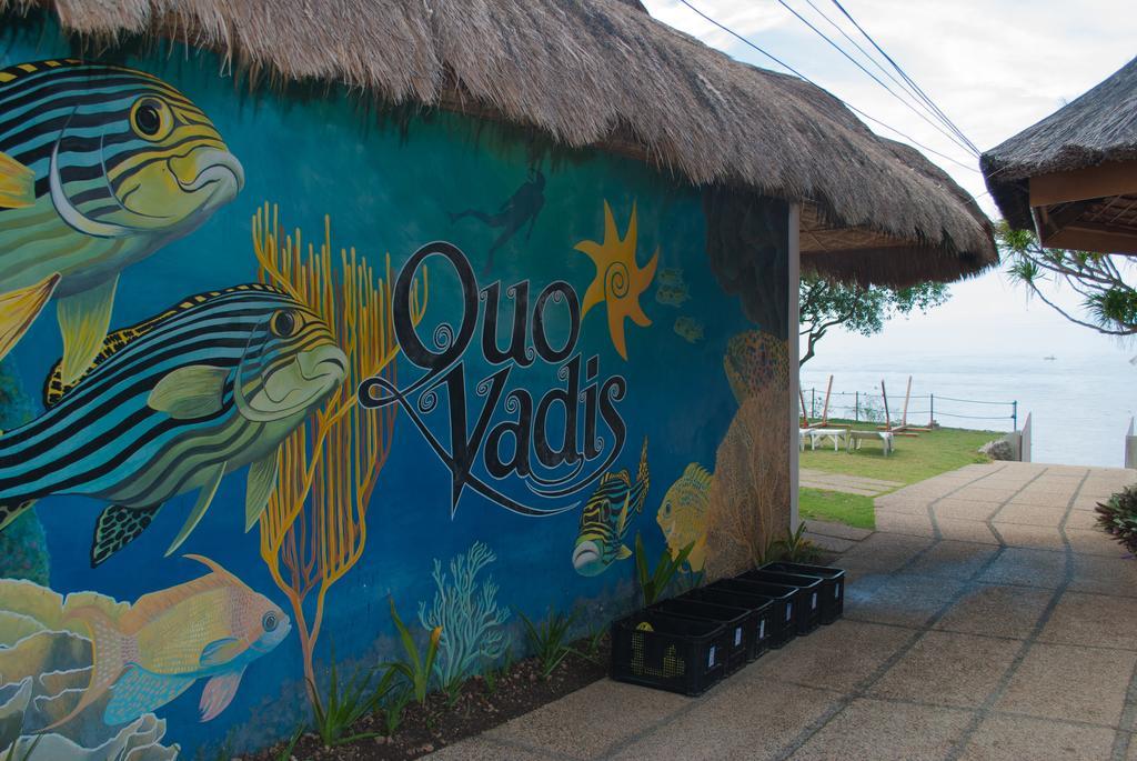 מואלבואל Quo Vadis Dive Resort מראה חיצוני תמונה